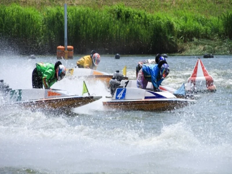 Vào tiền và hốt trọn kèo cá cược đua thuyền siêu thơm